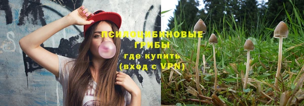 гашиш Ельня