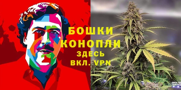 прущие крисы Елабуга