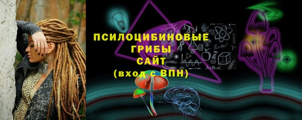гашиш Ельня