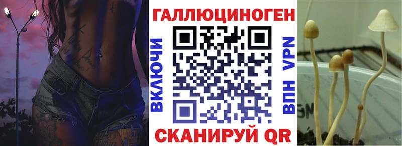 Купить  Цимлянск  Галлюциногенные грибы Magic Shrooms 